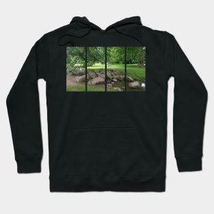 The Favorite castle in the Baden-Wurttemberg was created as a hunting lodge and maison de plaisance (pleasure palace) for Margravine Sibylla Augusta. Germany Hoodie